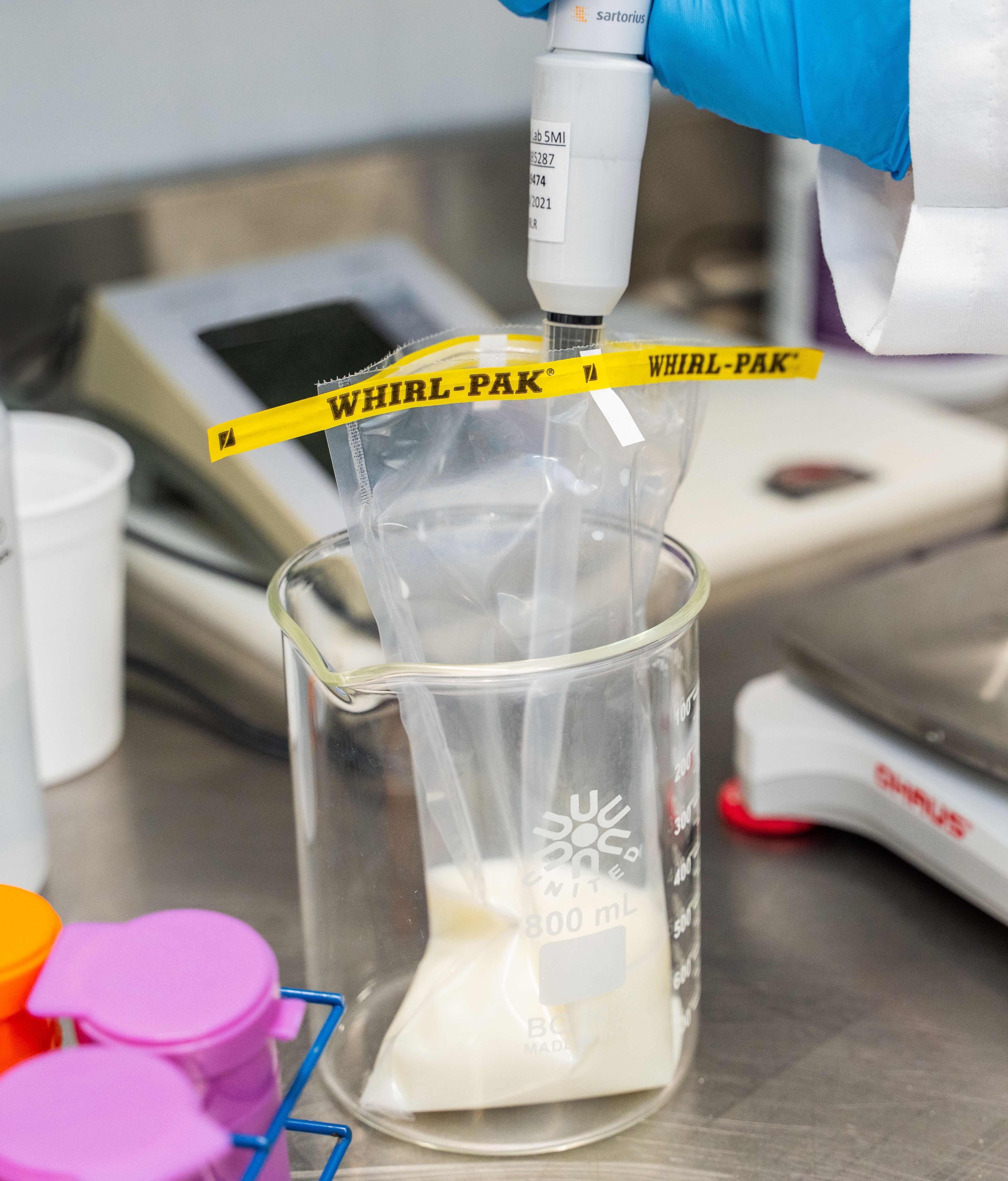 Diluting-a-milk-sample-from-a-whirl-pak-bag-close-up-horizontal-1