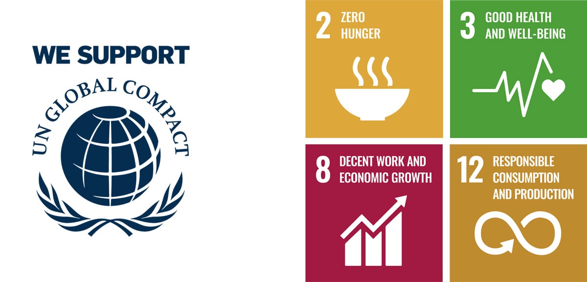 We-Support-UN-ESG-Goals_2-3-8-12_COLLAGE1