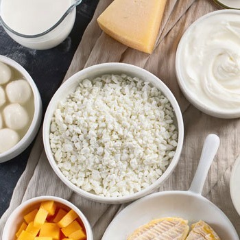assorted-cheese-and-dairy-products-cultures