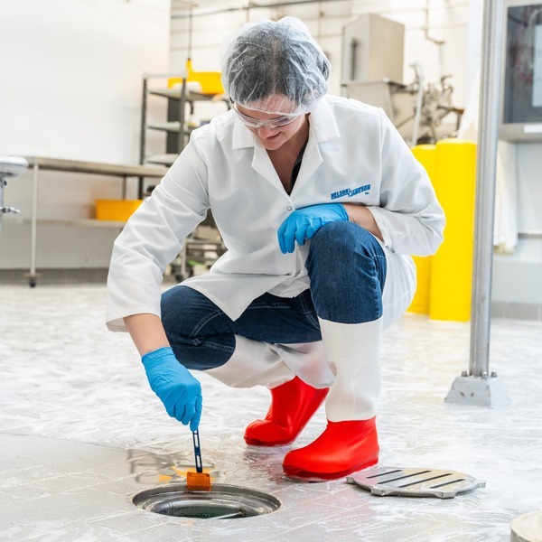Nelson-Jameson worker using the Neogen sample collection sponge