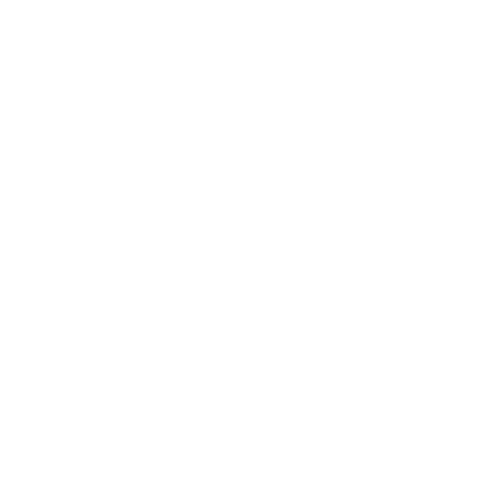 Rapid Implementation