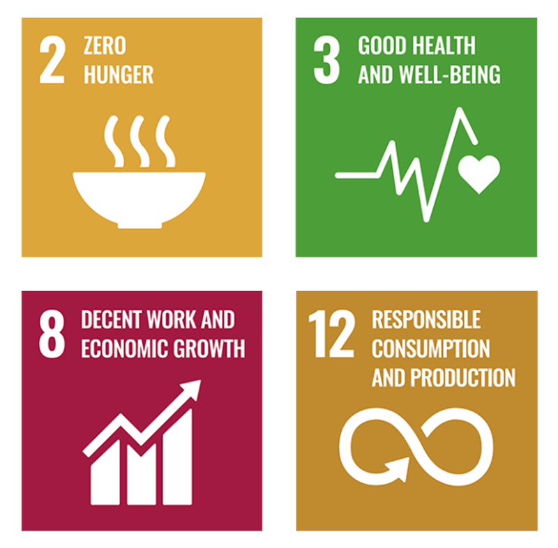 UN-standards_2-3-8-12