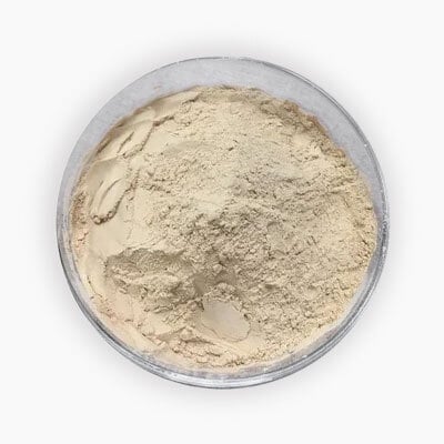 animal-lipase-ingredients