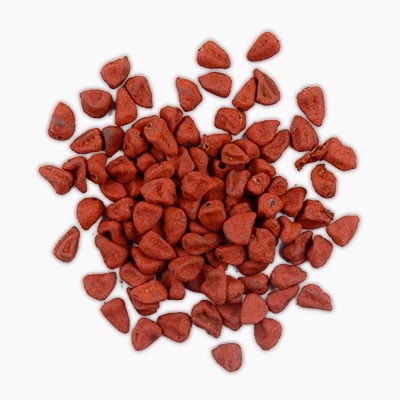 annatto-ingredient-1