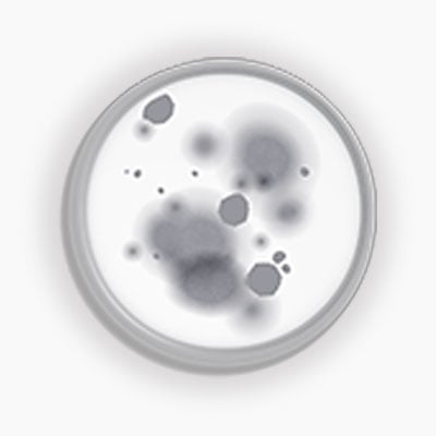 freeze-dried-cultures-lalcult-ingredients