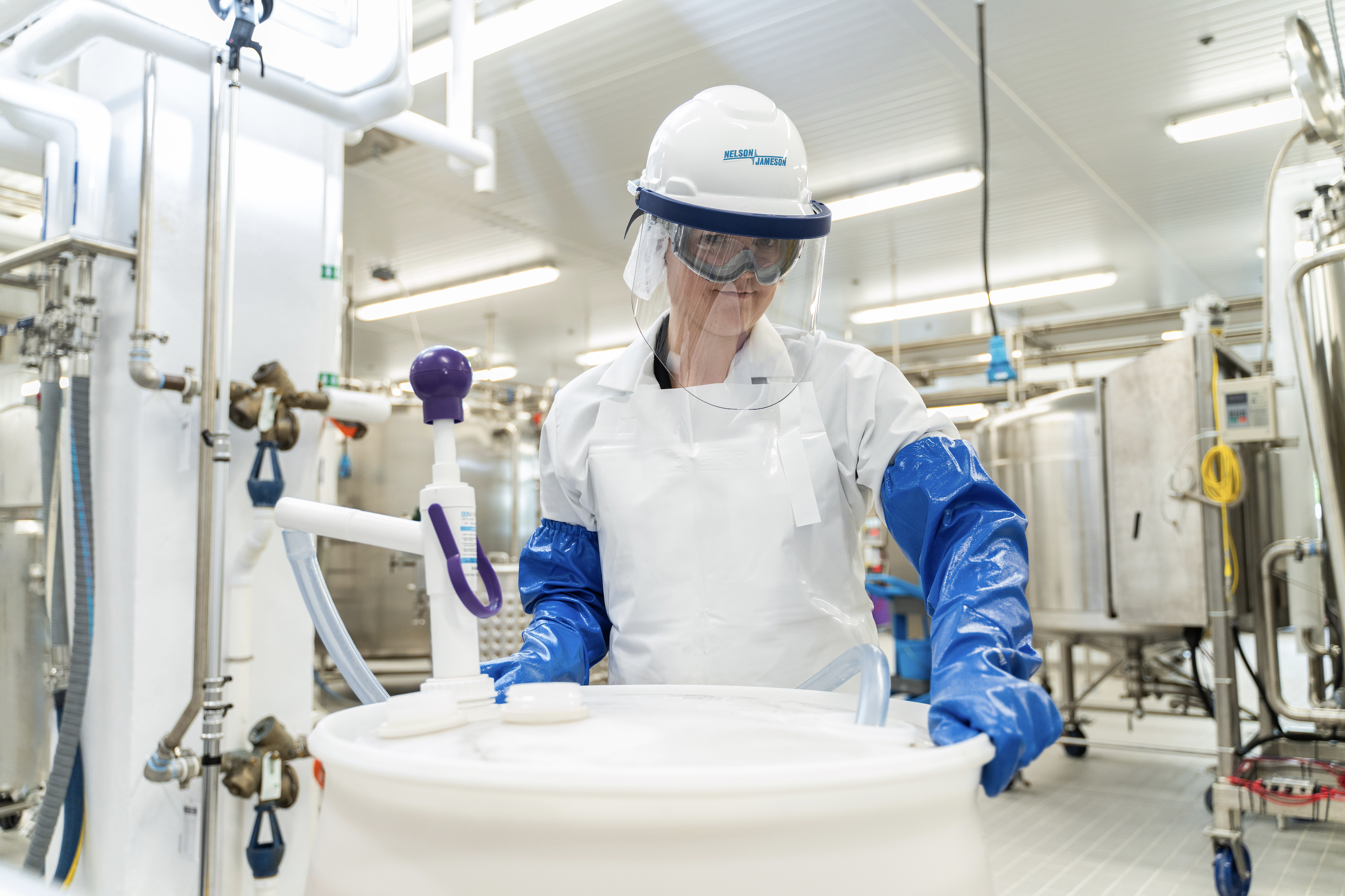 Screen Shot 2024-10-17 at 9.17.02 AM