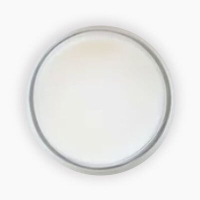 starter-media