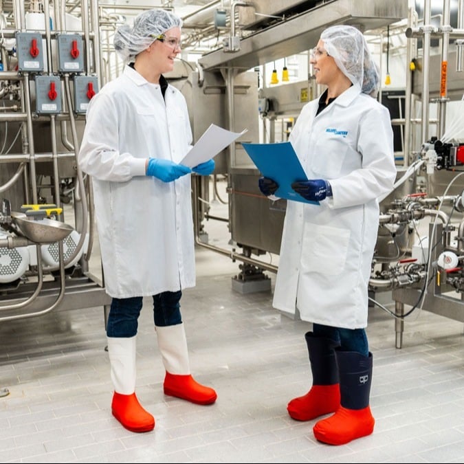 Safety and PPE Asessment